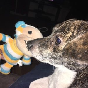 Meet your Posher, Alexis